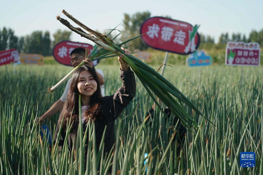 诚信客户端